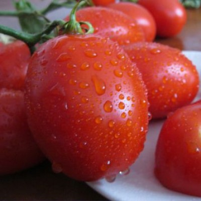 Семена томата Санни F1 (5000 семян), Lark Seeds, детерминантный